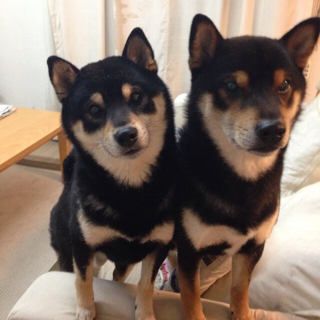 双城记，当基米希刻下丰碑，巴萨于末节奏响逆转狂想曲