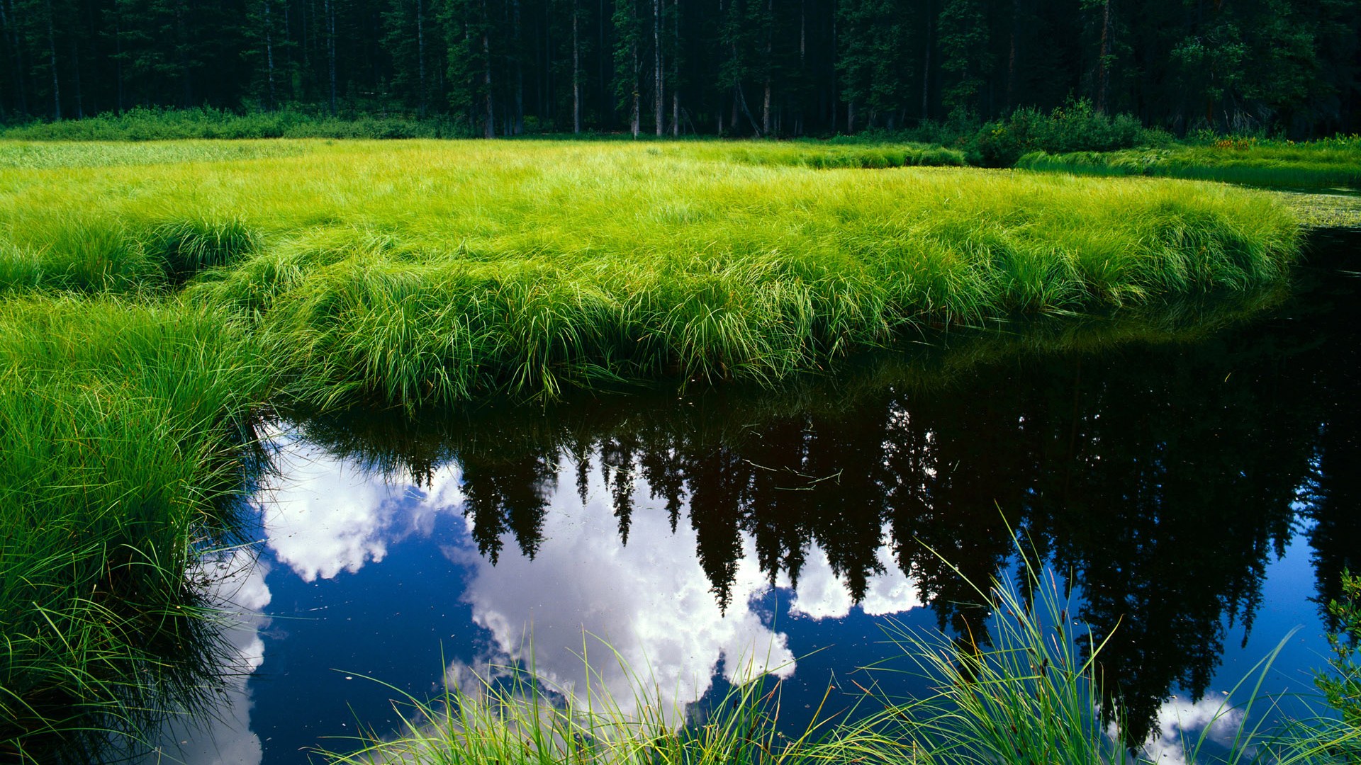 北欧海盗逆转蓝武士！拉什福德冷血绝杀诠释何为关键先生