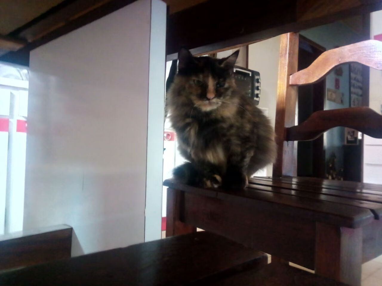 时间褶皱里的金球,当C罗的弧线拯救了巴拉圭的雨夜