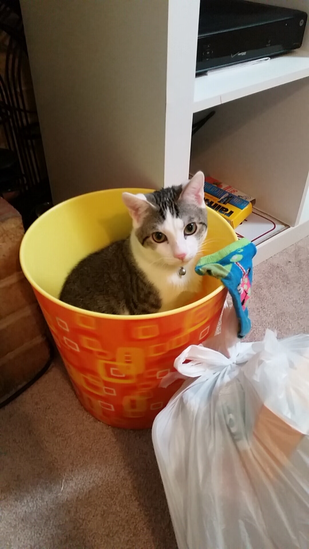 39岁轰30+三双!詹姆斯独行侠续写不老神话,这项数据他竟比12年前还强