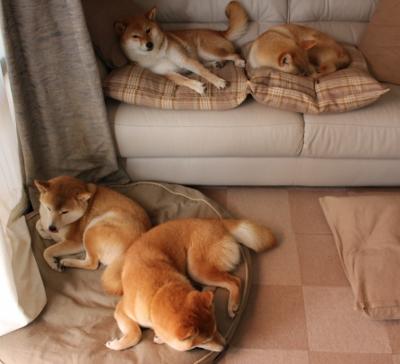 当另一个詹姆斯全程高能输出,开拓者狂胜火箭燃爆赛场