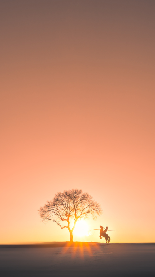 东决之夜,帕尔默举起枪,射落了月亮