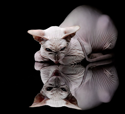 深红交响中的休止符,迪亚斯一瞬撕裂土耳其的节奏掌控