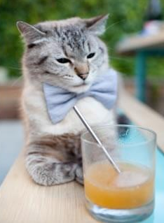 唯一钥匙，杰伦·格林如何解锁篮网关键战胜利密码