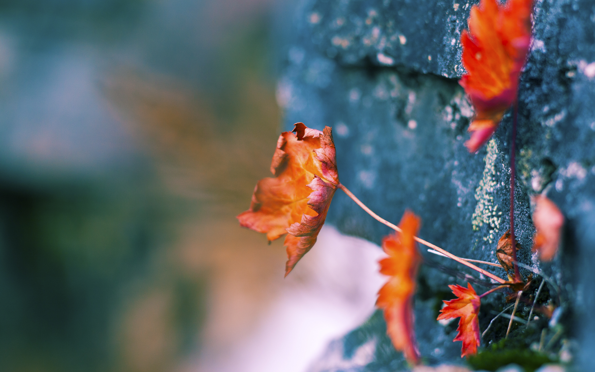 巴尔韦德世界波导火索，挪威三分钟双响终结悬念，西班牙提前撞线