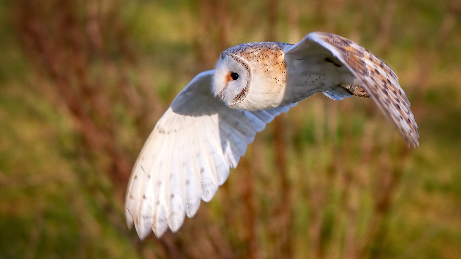 破咒之夜！毕尔巴鄂关键战突围勒沃库森，卡拉斯科临危受命成关键先生