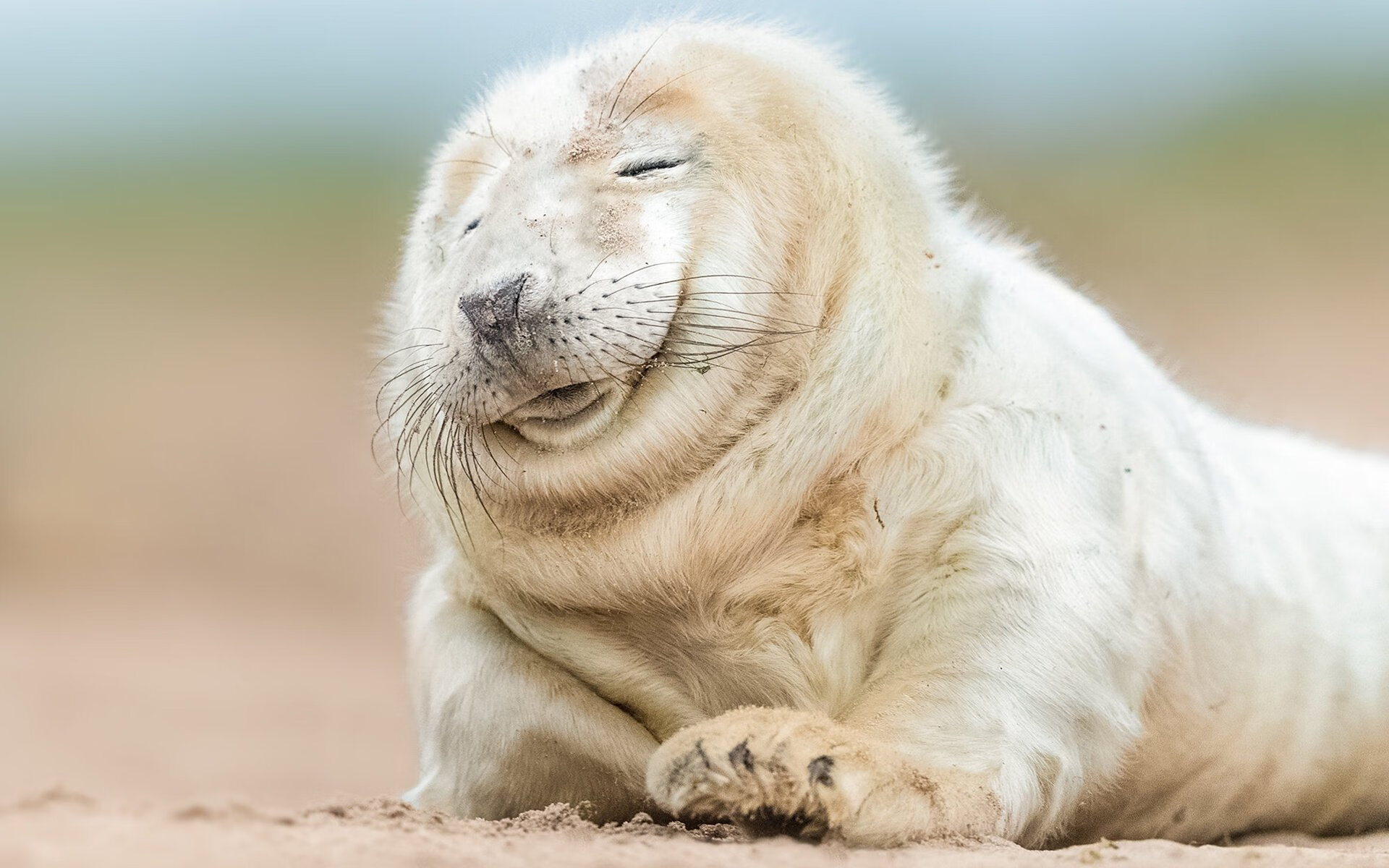 西甲国家德比焦点战启示录，国际米兰跨洲击溃乌拉圭的战术革命