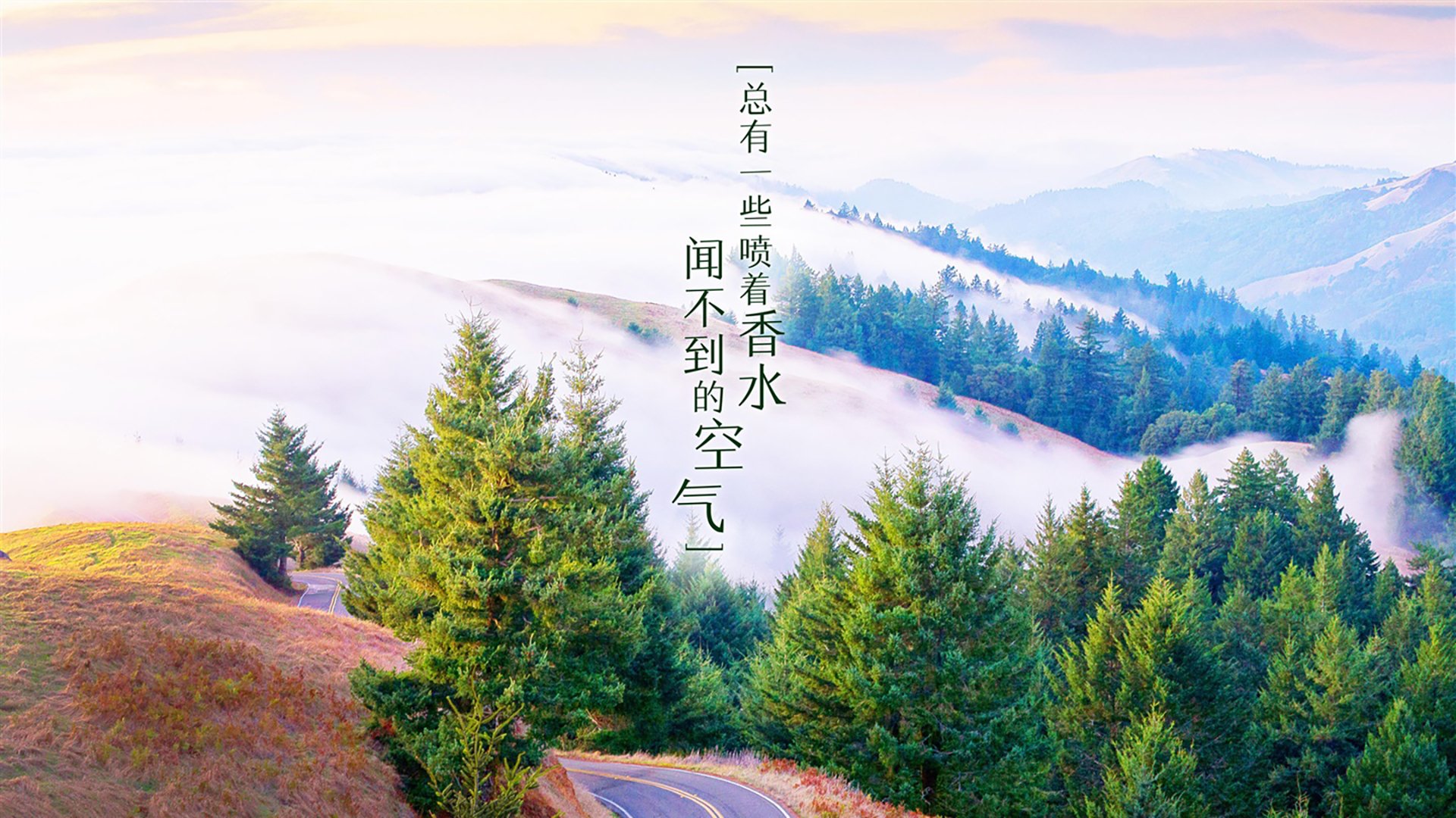 东方制霸,西方加冕,当浙江铁蹄踏碎广厦,福克斯于国家德比刻下王名